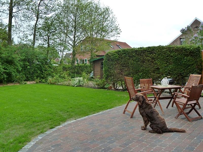 Gesine'S Huuske Villa Eilsum ภายนอก รูปภาพ