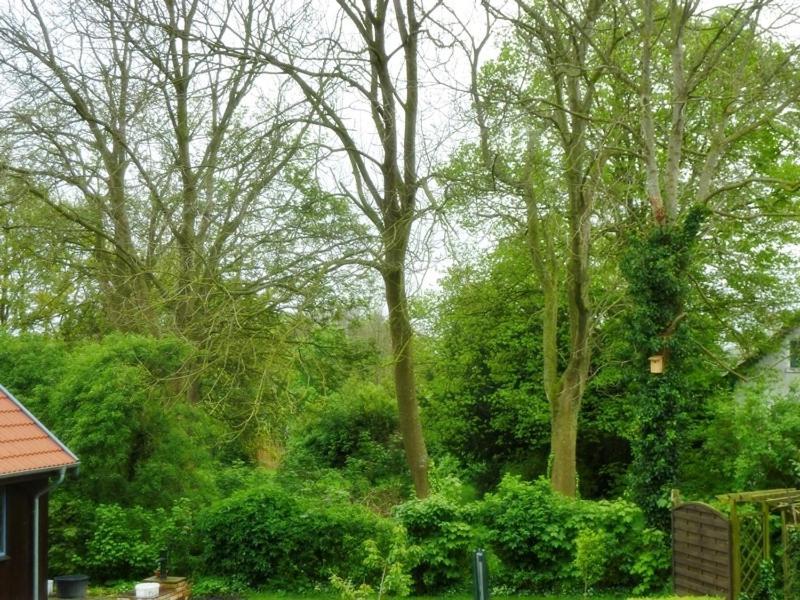 Gesine'S Huuske Villa Eilsum ภายนอก รูปภาพ